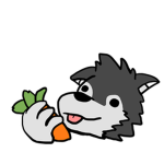 Husky’s carrot garden