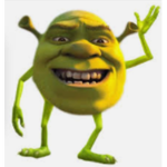 SHREKS GANG