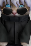 ANIME COOL STUDIOS