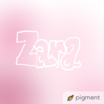 zara x