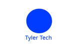 Tyler Technolgies