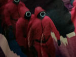 Thesquidgamefangroup