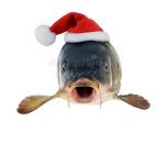 Fishy Dudes United