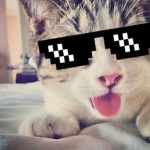 Cat Productions Game