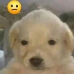 vampemu