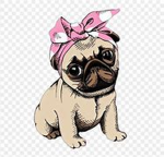 PugsCanDoAnything