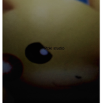 Poki studio
