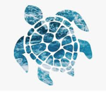 Turtle's Fan Group