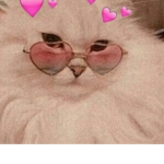 Catsgalaxy