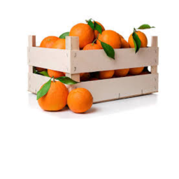 ORANGE EATING SIMULATOR: THE REBUILD