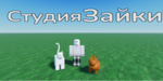 Студия Зайки
