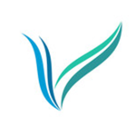 FlyVenix