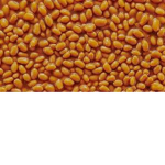 BeansStudio