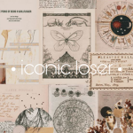 • iconic loser •