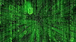 The Binary Network