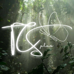 The Clothing Store Plus