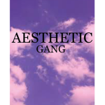 _AESTHETIC_GANG_