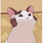 ManFace And PopCat Clan