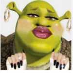 shrek baddie slay group