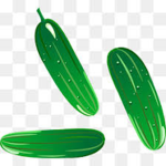 Sea & Cucumber Games