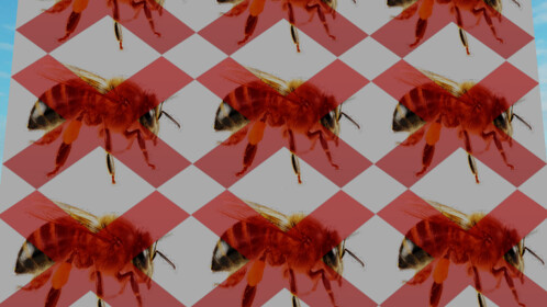 NOT BEE GAME