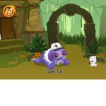 The Animal Jam Club