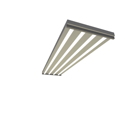 Flickering Florecent Lights