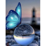 Butterfly everyone can join