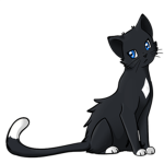 Cat_Squadz