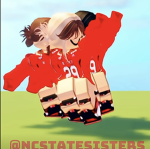 Nc state yt fan group