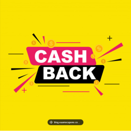 OIB Cash Back
