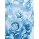 The tear flowers