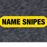 Namesnipes and Old Players