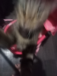 hehehe hssxhxsjsujzjixsnuhdnhhhuhnexjnsxdnhd c