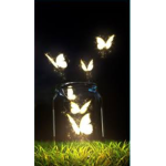 Butterfly treehouse