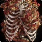 ｡ﾟ•┈୨♡୧┈• ｡ﾟ