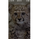 Cheetah Club/ adopt me Club