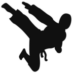 Epic Ninja's of Roblox