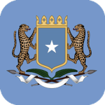 Federаl Government of Somalia