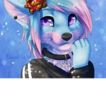 club furry