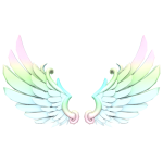 Limited Angel wing