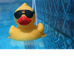 Rubber Duck Fan Group
