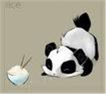 PAW Panda's