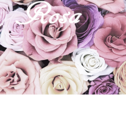 Rosa°'s Runway!