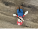Team Mario bro