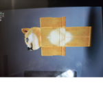 Floopa doge