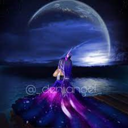 Night Quest