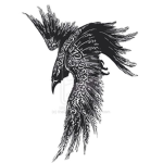 Raven's Enemy's