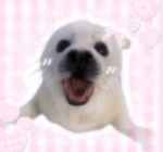 §~mwah~§