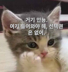강아지,고양이 등등 동물 좋아하는 사람들 오는 그룹!!